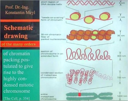 Prihodnost medicine je v skalarnih valovih,do takrat pa vsebuje  hašiševo olje energijo, ki je  farmacija ne more proizvesti,saj  deluje na elektromagnetno tehnologijo