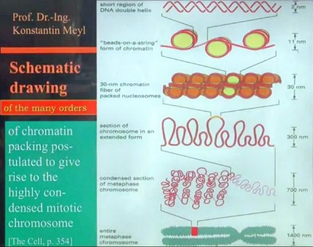 the future of medicine is in the scalar oscillation, and by then,  the hashish oil contains the energy that pharmacy cannot produce,  because it affects electromagnetic technology